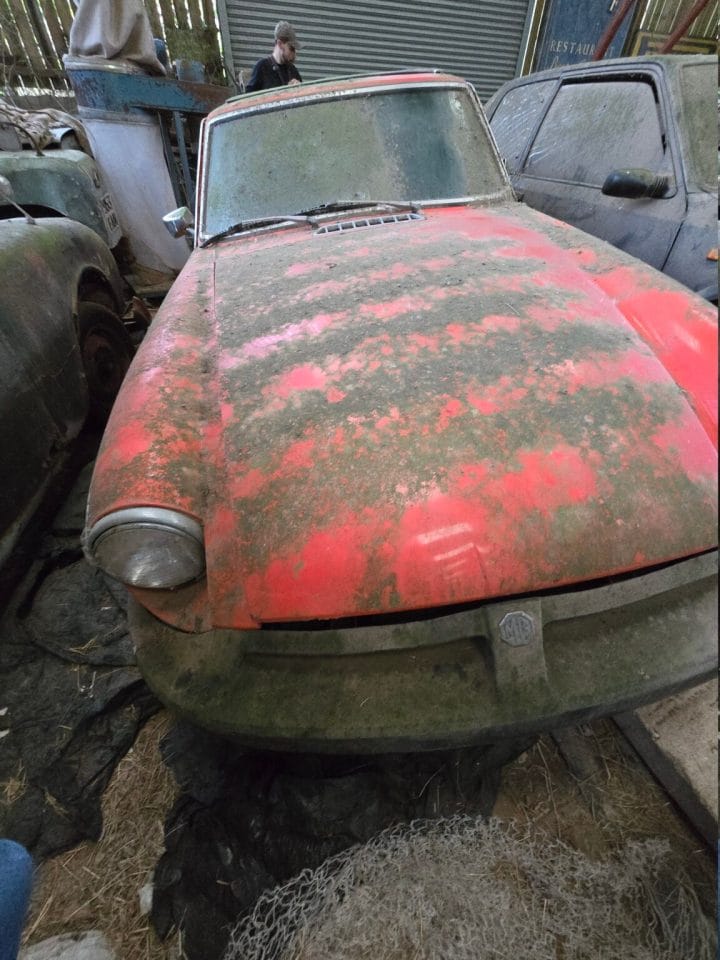 Moss and rust has spread across the decaying cars