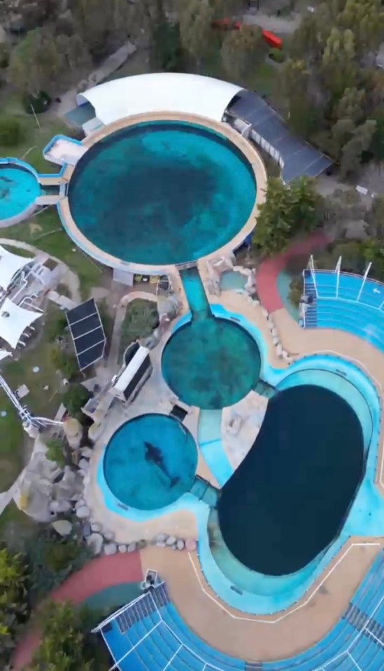 Aerial view of Mundo Marino aquarium in Argentina, showing orca Kshamenk in a small pool.