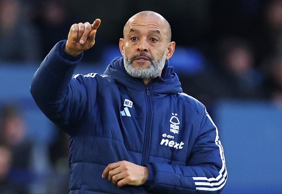 Nuno EspÃ­rito Santo, Nottingham Forest manager, at a Premier League match.