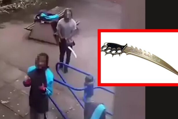 Shocking Video of Young Offenders Wielding Zombie Knives Behind Bars